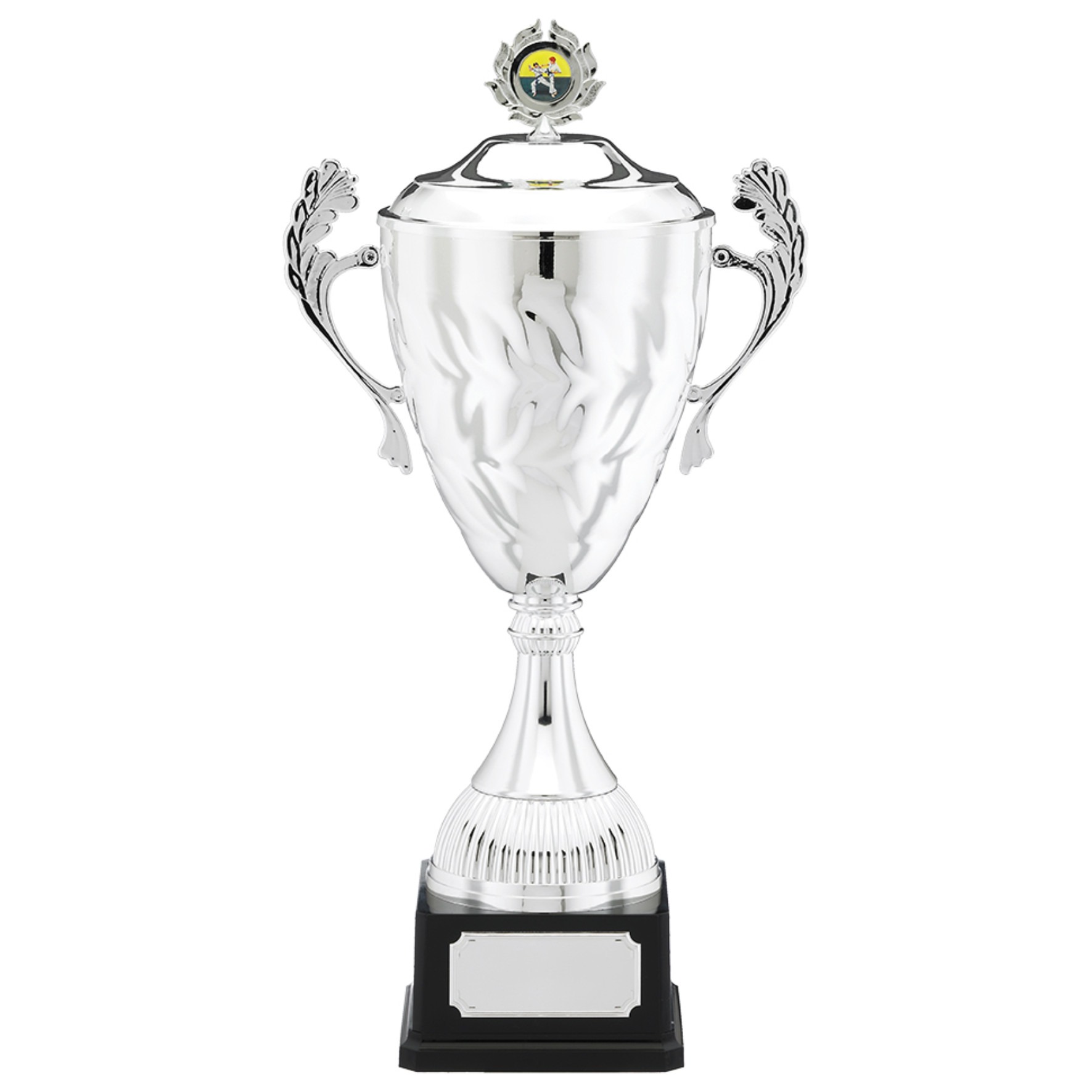 cl Silver Presentation Trophy Cup with Lid,200mm,FREE Engraving, 49//267E