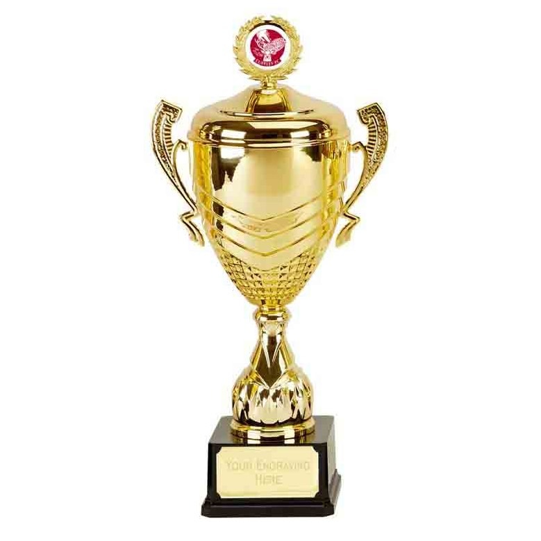 Gold and Red Presentation Cups Trophies Awards 5 sizes FREE Engraving 