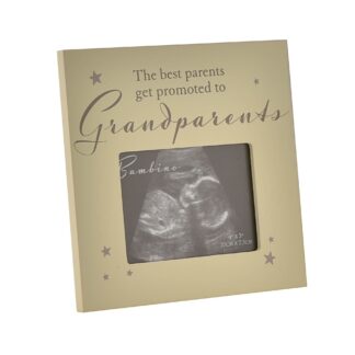 4" x 3" Grandparents Scan Photo Frame - CG1333