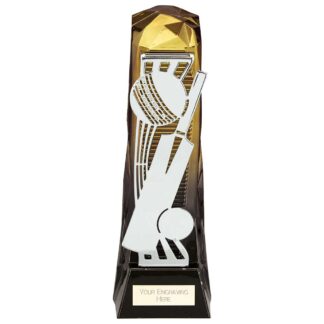 Black and Gold Shard Cricket Trophy - PA24021