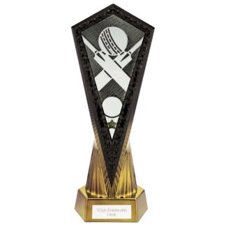 Black and Gold Inferno Cricket Trophy - PA24029