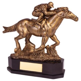 Aintree Equestrian Racing Horse Award - RF19139