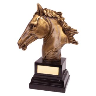 Belmont Equestrian Award - RF19140