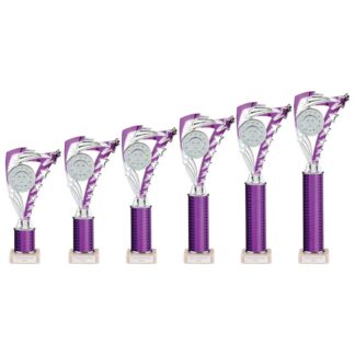Purple & Silver Frenzy Dance Trophy - 5 Sizes - TR24519